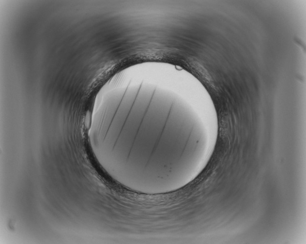 X0000097850023200804111139