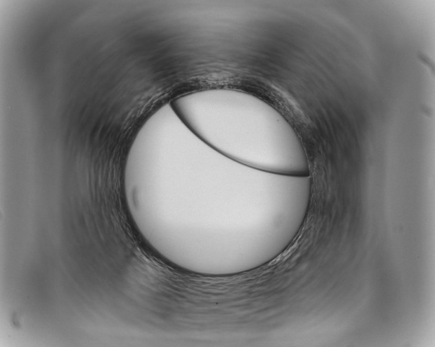 X0000097850025200804111139