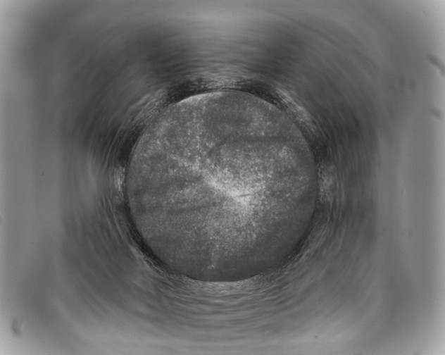 X0000097850026200804111139