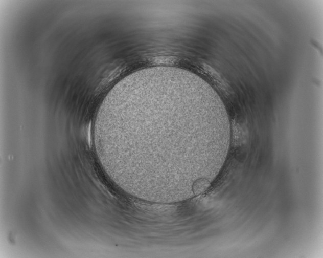 X0000097850028200804111138