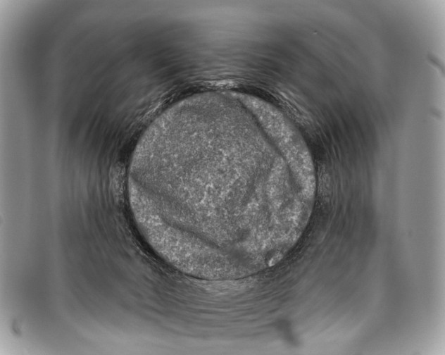 X0000097850030200804111138