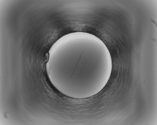 X0000097850031200804111138