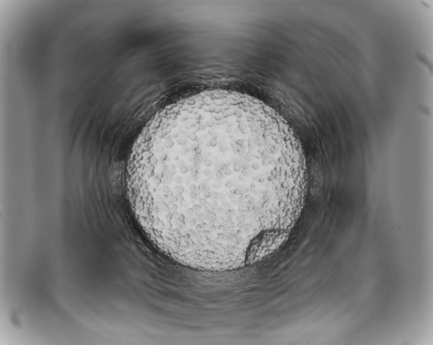 X0000097850034200804111138