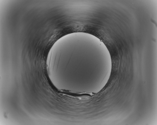 X0000097850035200804111138