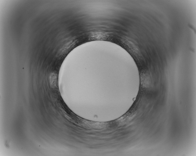 X0000097850036200804111138