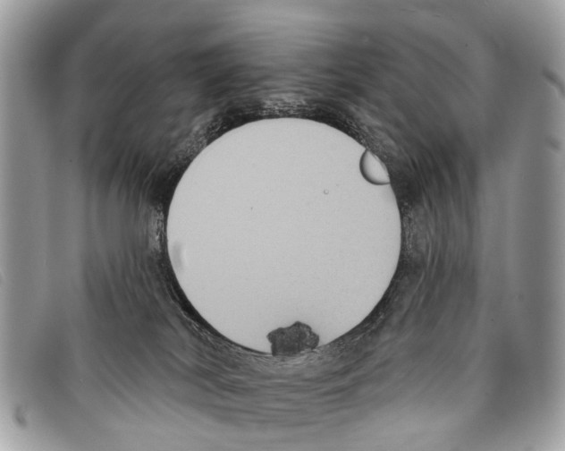 X0000097850038200804111138