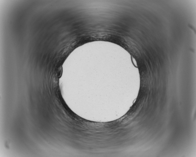 X0000097850040200804111138