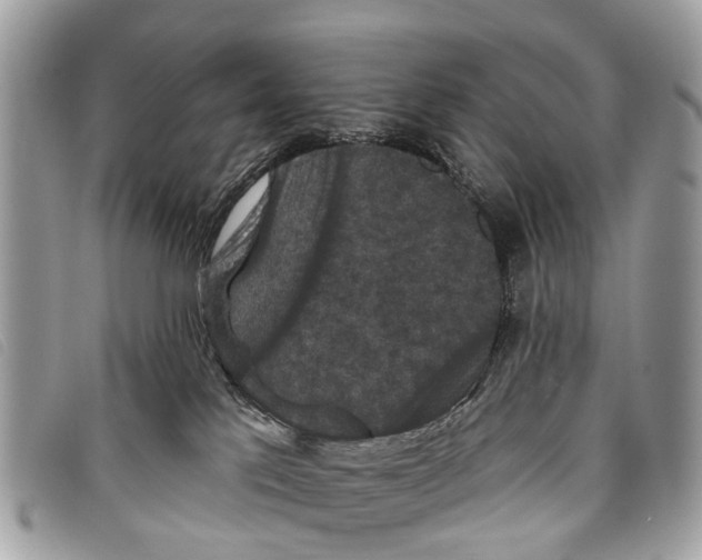 X0000097850041200804111138