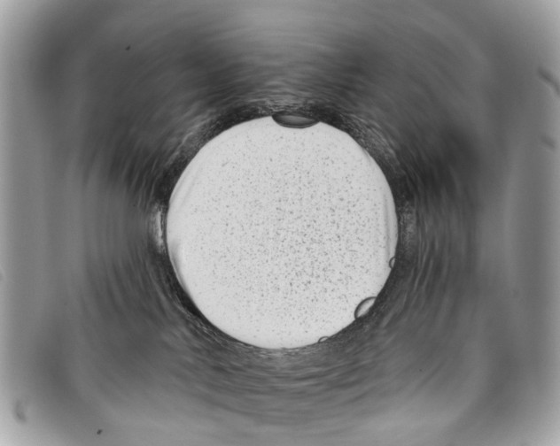 X0000097850042200804111138