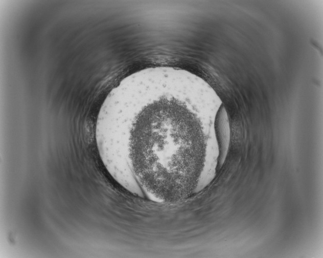 X0000097850043200804111138