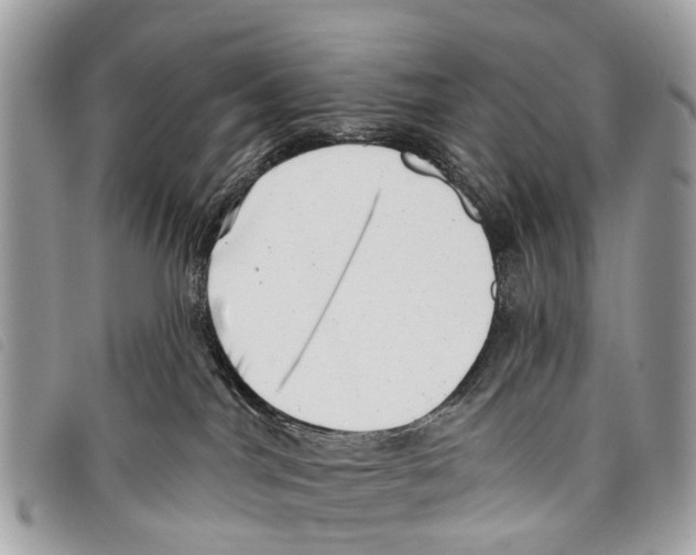 X0000097850044200804111138