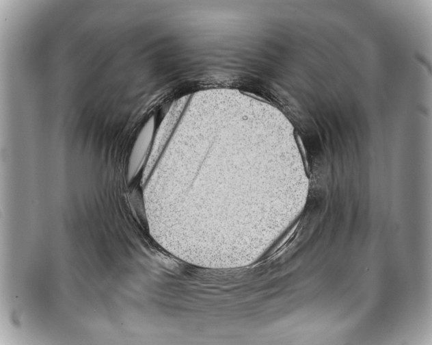 X0000097850045200804111138