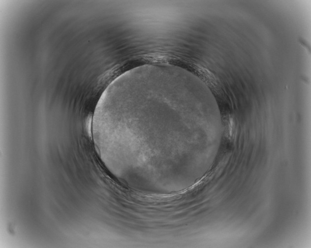 X0000097850047200804111138