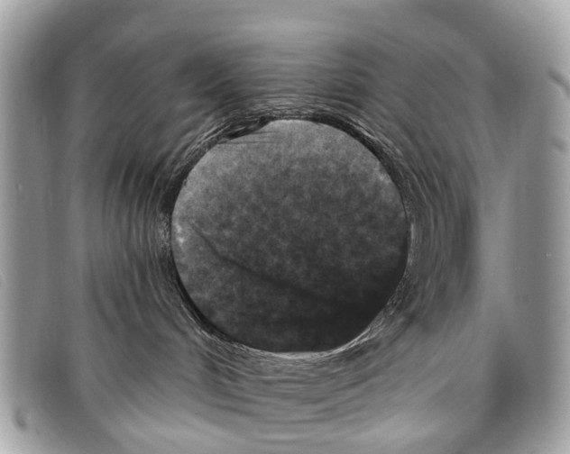 X0000097850048200804111138