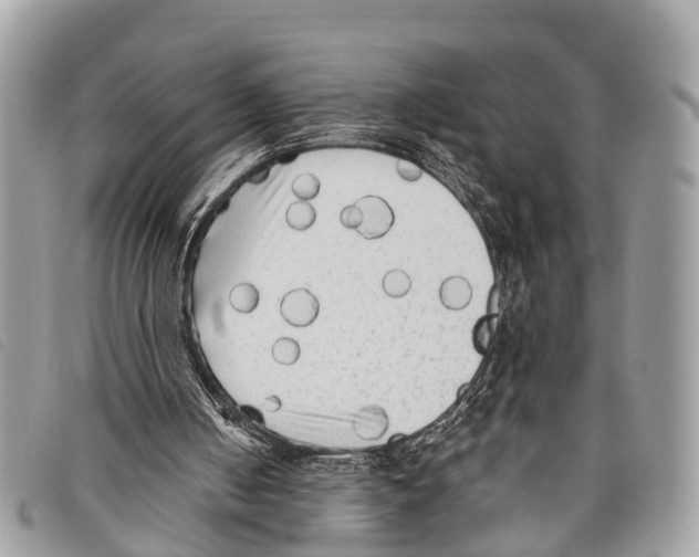 X0000097850050200804111137