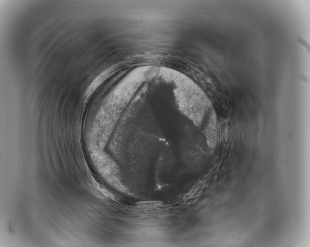 X0000097850051200804111137