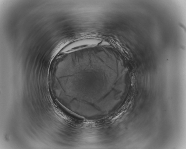 X0000097850052200804111137