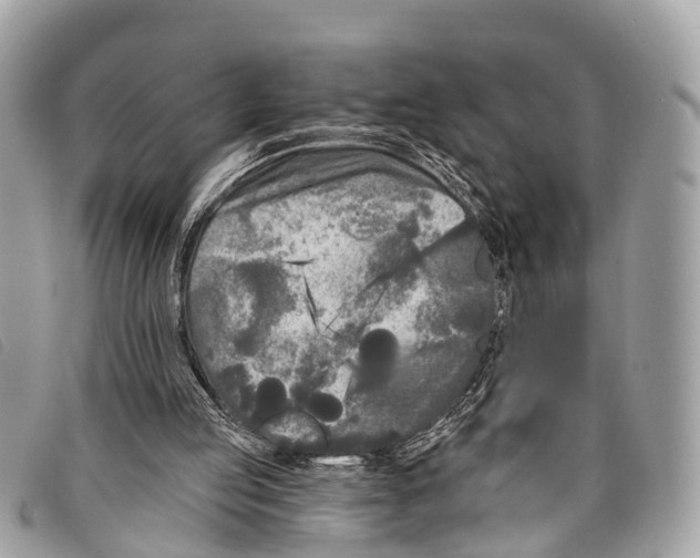 X0000097850053200804111137