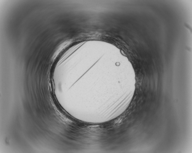 X0000097850054200804111137