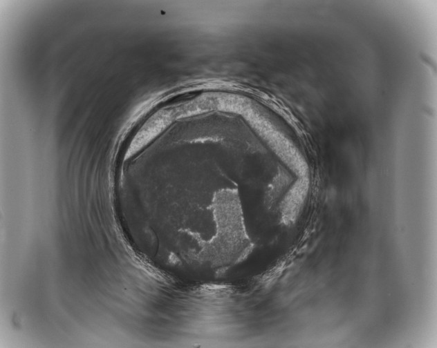 X0000097850055200804111137