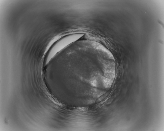 X0000097850056200804111137