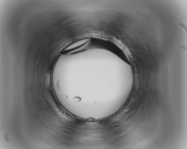 X0000097850057200804111137