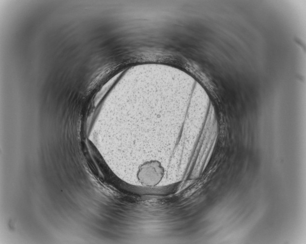 X0000097850058200804111137