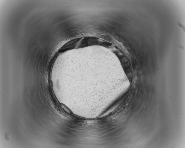 X0000097850060200804111138