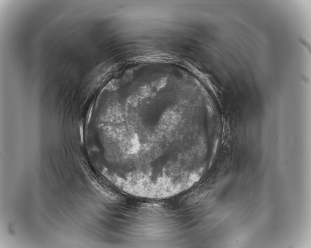 X0000097850061200804111138