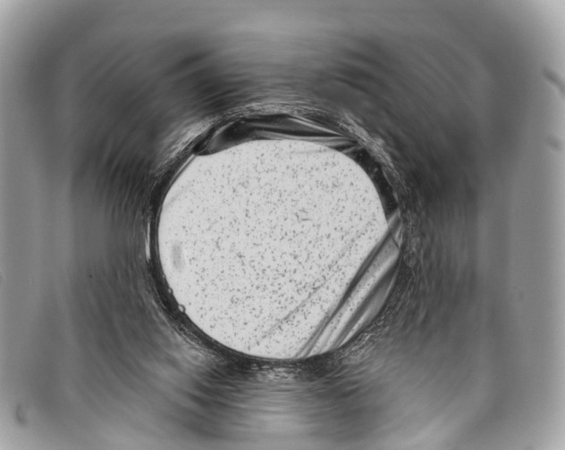 X0000097850062200804111138