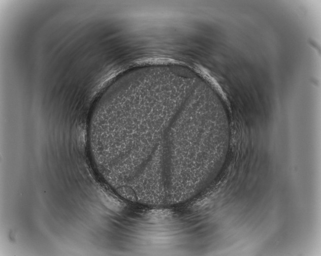 X0000097850063200804111138