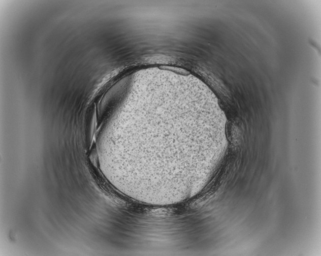 X0000097850064200804111138