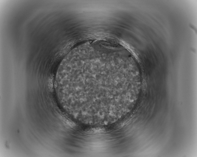 X0000097850065200804111138