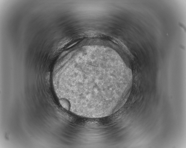 X0000097850066200804111138