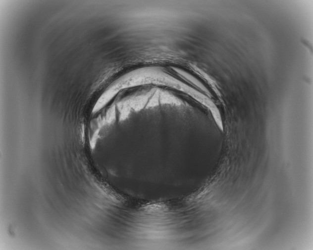 X0000097850067200804111138