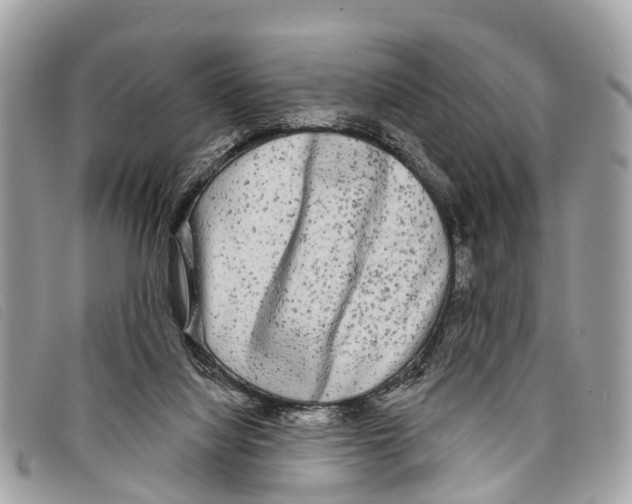 X0000097850068200804111138