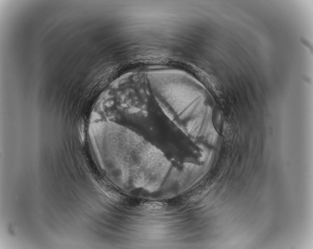 X0000097850069200804111138