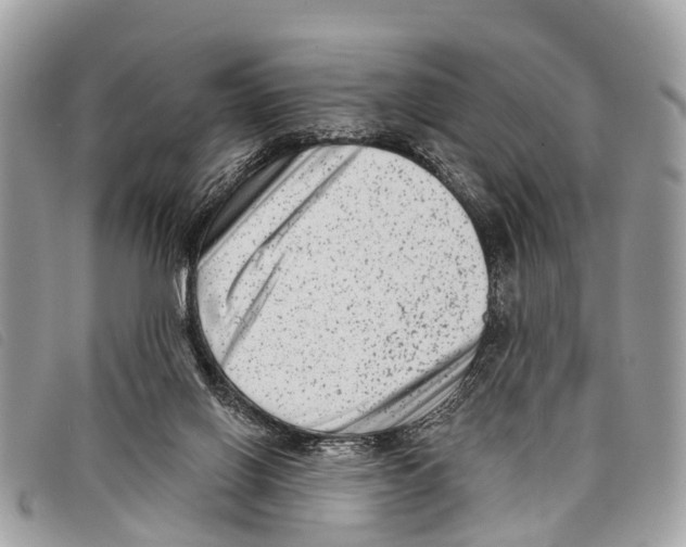 X0000097850070200804111138