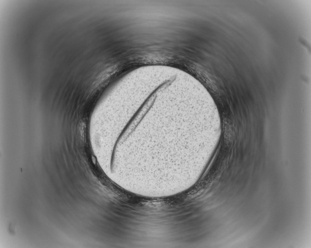 X0000097850071200804111138