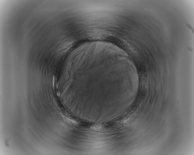 X0000097850076200804111138