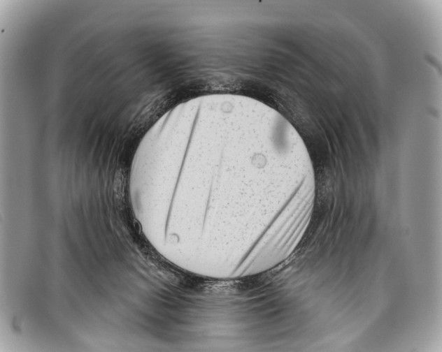 X0000097850078200804111138