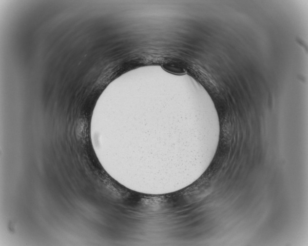 X0000097850079200804111138