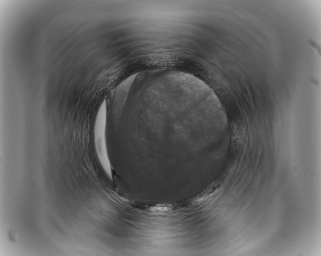 X0000097850080200804111138