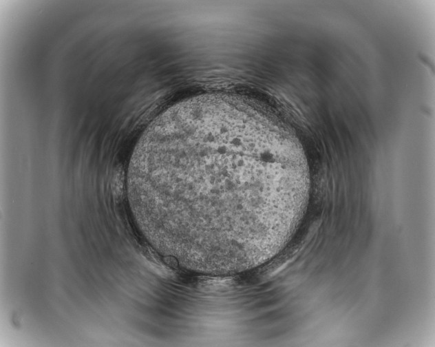 X0000097850081200804111138