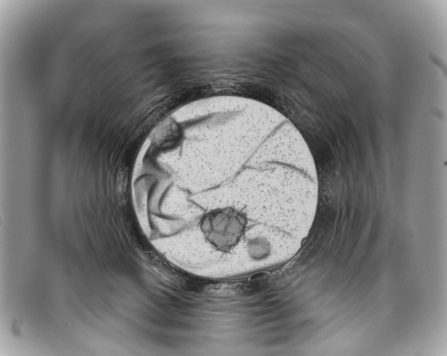 X0000097850082200804111138