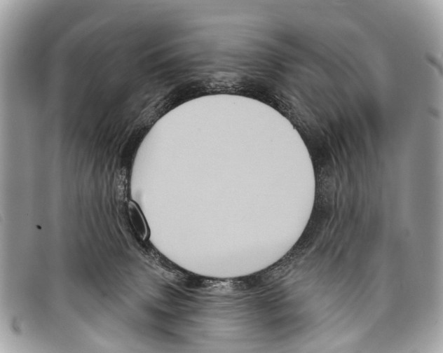 X0000097850083200804111138