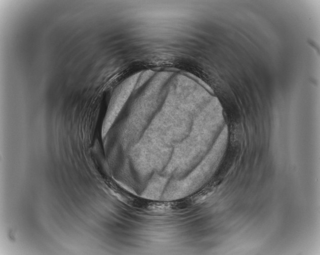 X0000097850084200804111138