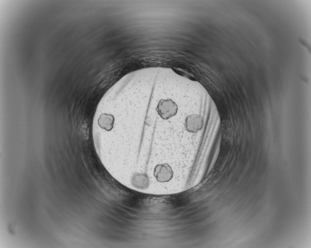 X0000097850086200804111138