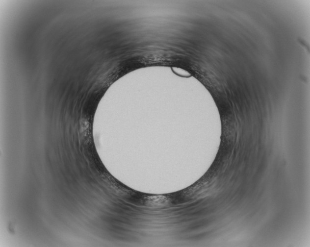 X0000097850087200804111138