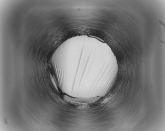 X0000097850088200804111138